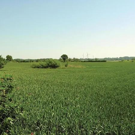 Svalevaenget X Nordenbro Vesteregn